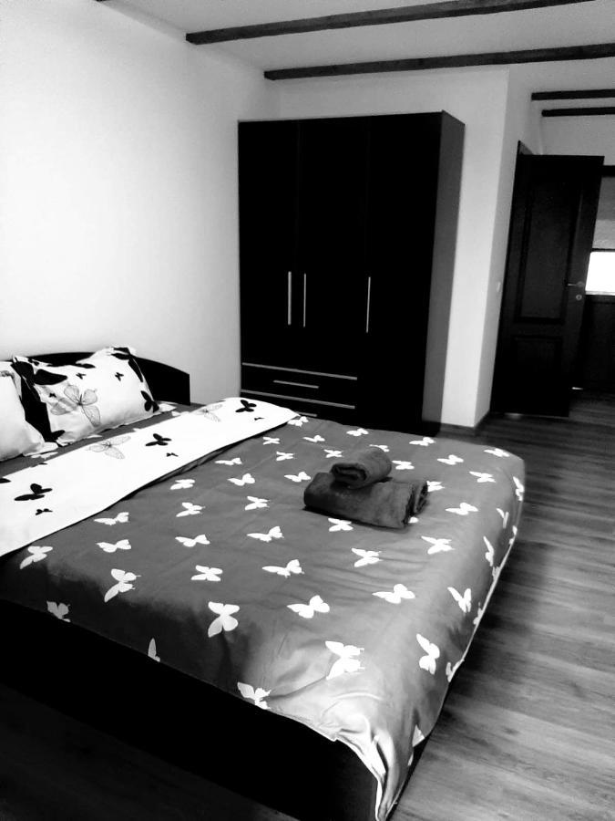 Casa De Vacanta Sadu ภายนอก รูปภาพ